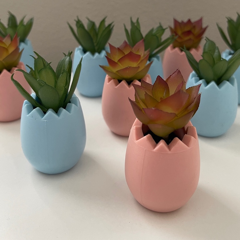 Target New Mini Easter Egg Succulents Set of 10 (plastic)